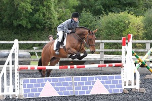 Class 7 - Fences 3' to 3'3